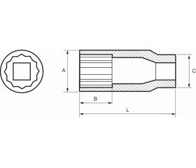 Vasos bi-hexagonales de serie larga de 1/2